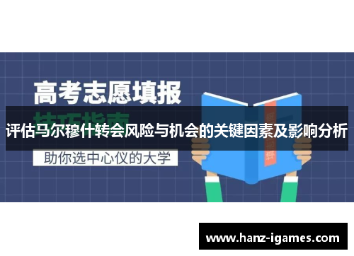 评估马尔穆什转会风险与机会的关键因素及影响分析