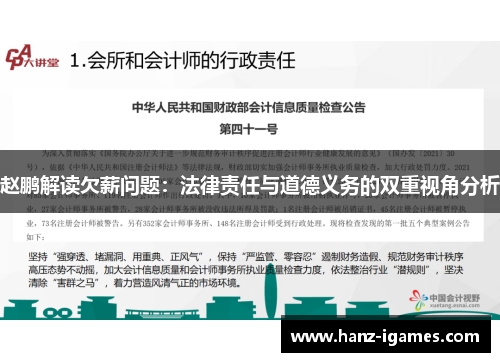 赵鹏解读欠薪问题：法律责任与道德义务的双重视角分析
