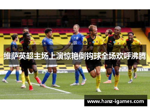 维萨英超主场上演惊艳倒钩球全场欢呼沸腾