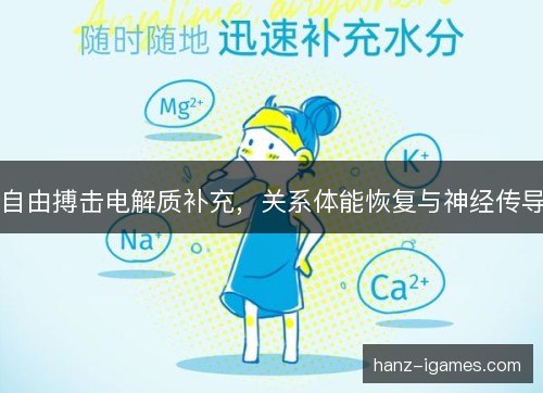 自由搏击电解质补充，关系体能恢复与神经传导